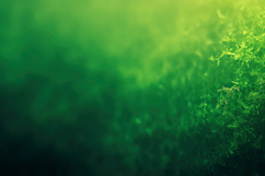 Green Gradient Oasis Background Wallpaper Product Image 1