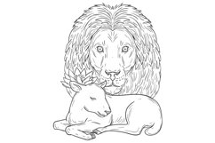 Lion Watching Over Sleeping Lamb Drawing Product Image 1