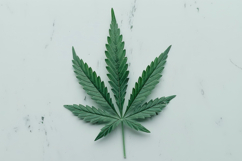 Cannabis Leaf Background Wallpaper Product Image 1
