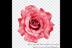 100 Real Roses Clip Arts, Romantic Valentine Scrapbook Product Image 3