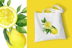 Watercolor lemons set. Citrus clipart, compositions, wreaths Product Image 6