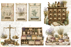 Botanical Apothecary Clipart, Vintage Junk Journal Ephemera Product Image 6