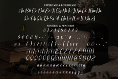 Retro Product Image 7