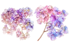 14 Watercolor Hydrangea Flowers Clipart Bundle, Pink Purple Product Image 8