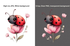 12 Spring Bugs Clipart Bundle, Watercolor Insects PNG Product Image 8