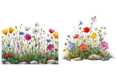 14 Watercolor Wildflower Clipart Bundle, Botanical Flowers Product Image 8