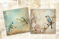 Birds Shabby Chic Backgrounds I Digital Paper Product Image 3