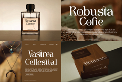 Modern and Retro Serif Font Bundle Product Image 3