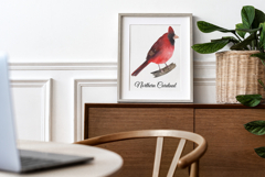Backyard Birds of North America Product Image 6