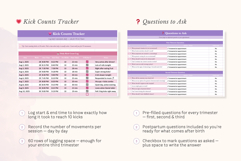 Pregnancy Planner Excel Spreadsheet Product Image 7