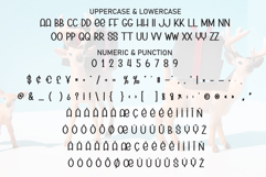 Groovy Reindeer Product Image 7