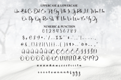 Snowing Product Image 7