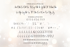Snowflake Product Image 7