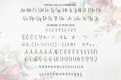 Hostania Product Image 7