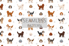 Goldendoodle Goldie Poodle mix Product Image 2