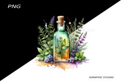 Watercolor bottle and herbs clipart Product Image 1
