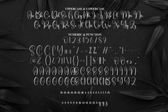 Blacksword Product Image 7