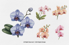 15 Bundle Watercolor Orchids Flower Tropical Exotic Blossom Product Image 7