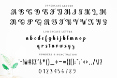 Chocolate Strawberry - Family Font In 98 Type Product Image 8