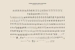 Orlan Raw Brush Drawn Sans Font Product Image 7