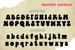 Holiday - Family Retro Font Product Image 9