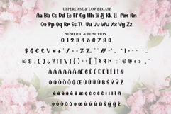 Angista Product Image 7