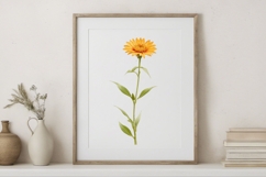 Yellow Wildflowers PNG Product Image 2