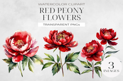 Red Peony Elegance Clipart , Watercolor PNG. Product Image 1