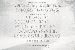 Winter Product Image 7