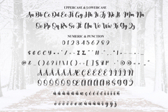 Wonderland Product Image 7