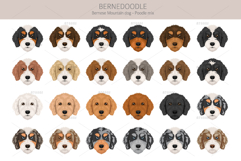 Bernedoodle dog mix Product Image 5