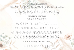 Agatha Product Image 7