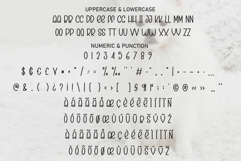 Maltese Puppies Product Image 7