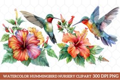 Watercolor Hummingbird Nursery Clipart, Watercolor Clipart Product Image 1