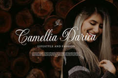 Gastonia Script Product Image 7