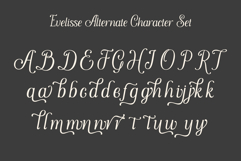 Evelisse Product Image 8