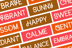 Bomera Experience - Experimental Sans Serif Font Product Image 6