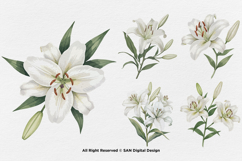 15 Bundle Watercolor White Lily Flower Wedding Minimalist Product Image 7