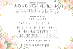 Beautiful Product Image 7