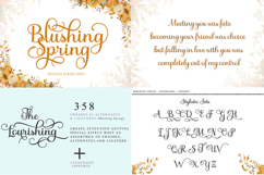 Exclusive Best Font Bundle Product Image 7