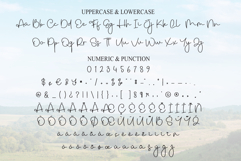 Montana Product Image 7