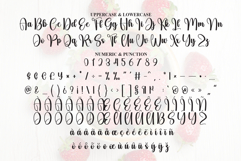 Strawberry Product Image 7