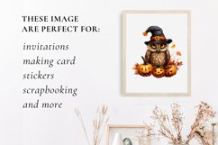 Cute owl halloween clipart, owl sublimation Product Image 3