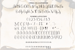 History Product Image 7