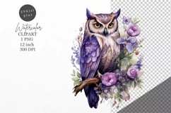Owl clipart, Forest clipart, Birds clipart Product Image 1