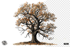 Autumn Trees Clipart Product Image 1