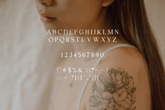 Valkirie - Classical Serif Product Image 7