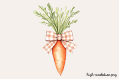Carrot Watercolor Clipart PNG Product Image 1