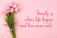 Bolyvina - Romantic Calligraphy Product Image 7