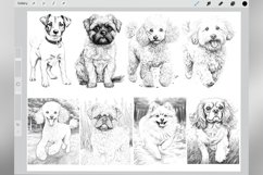 80 Procreate Small Dog Breeds Stamp Brushes Product Image 2
